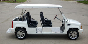 affordable golf cart rental, golf cart rent miami gardens, cart rental miami gardens